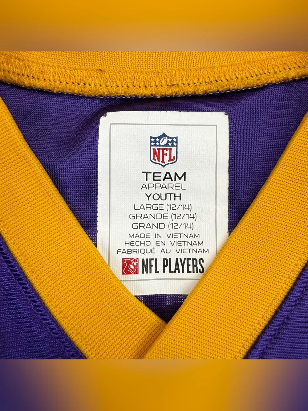 Boys Minnesota Vikings Justin Jefferson Purple #18 NFL Football Jersey YOUTH L